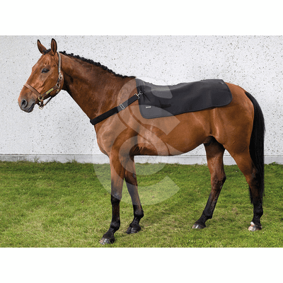 Protège dos Back Warmer Back On Track