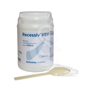 Recessiv HSV