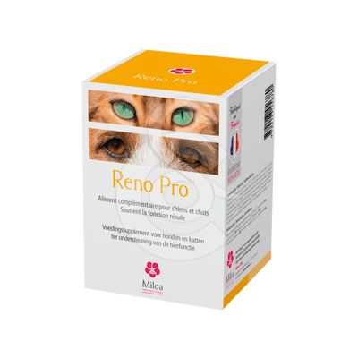 Reno Pro
