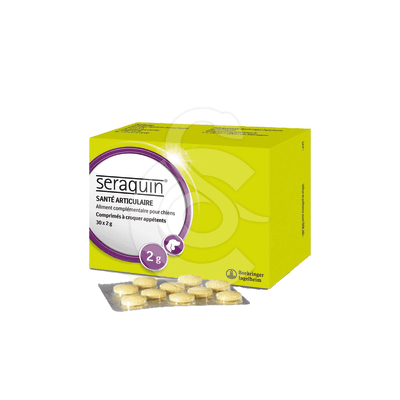 Seraquin Chien