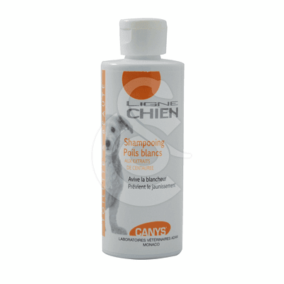 Shampoing poils blancs