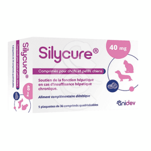 Silycure 40mg
