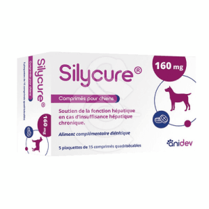 Silycure 160mg