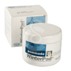 WinterPad