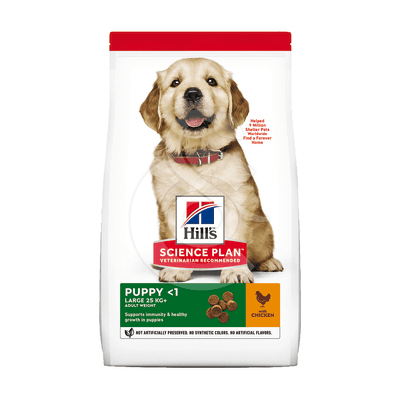 Chien Puppy Large Breed Poulet