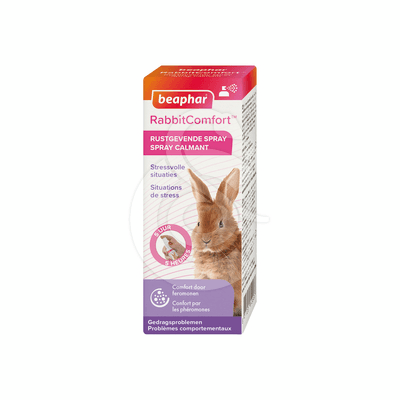 RabbitComfort