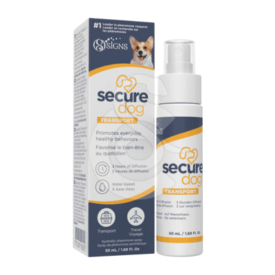 Secure Dog Transport