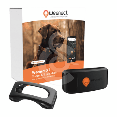 GPS Weenect XT pour chien