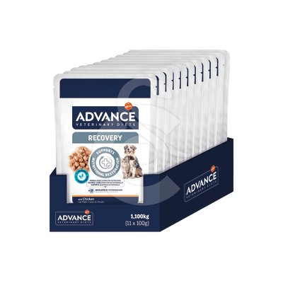 Advance Chat Chien Wet Recovery